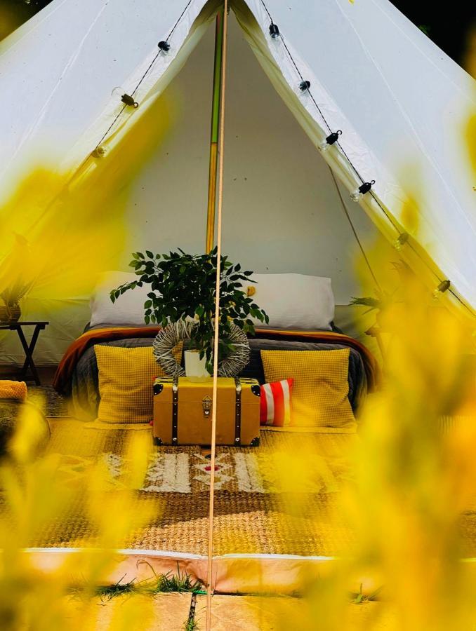 Cayoretreat Luxury Bell Tent Clodock المظهر الخارجي الصورة